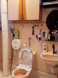 Blk 257B Compassvale Road (Sengkang), HDB 4 Rooms #526857671